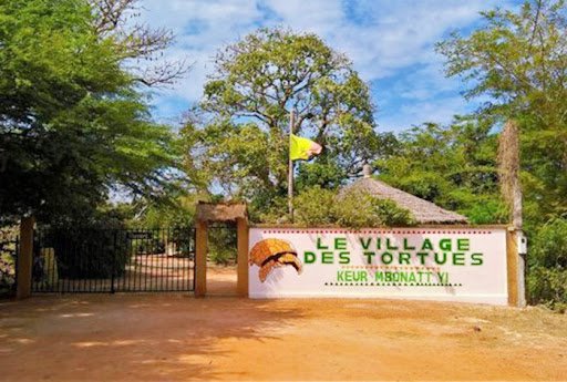 Village des tortues